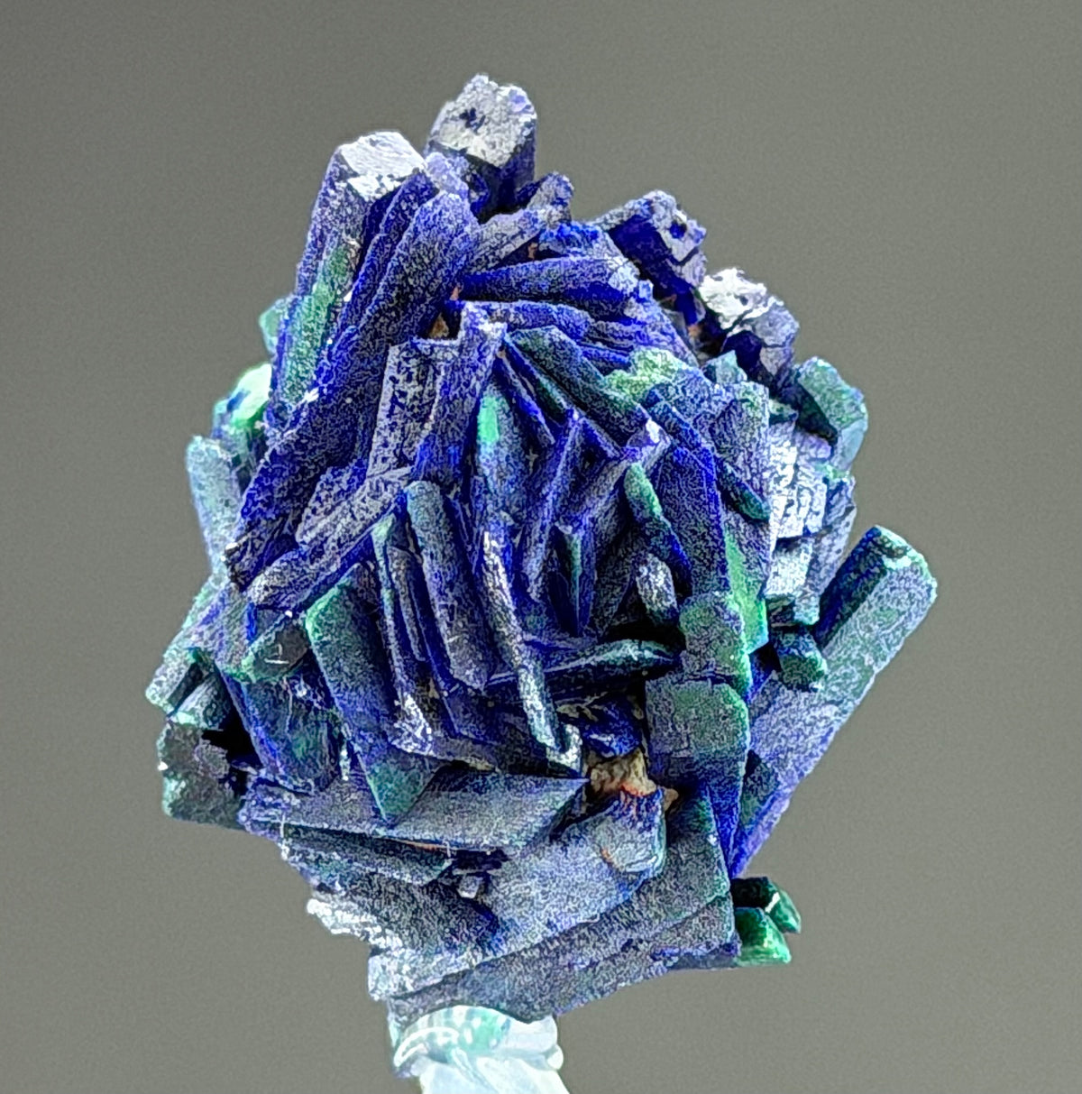Azurite With malachite lustrous Rosette in Perfect Conditions conditions