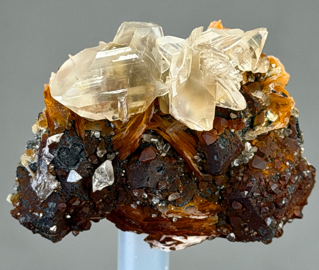 Wings Cerusite  Crystals with  barite and hematite in Perfect conditions