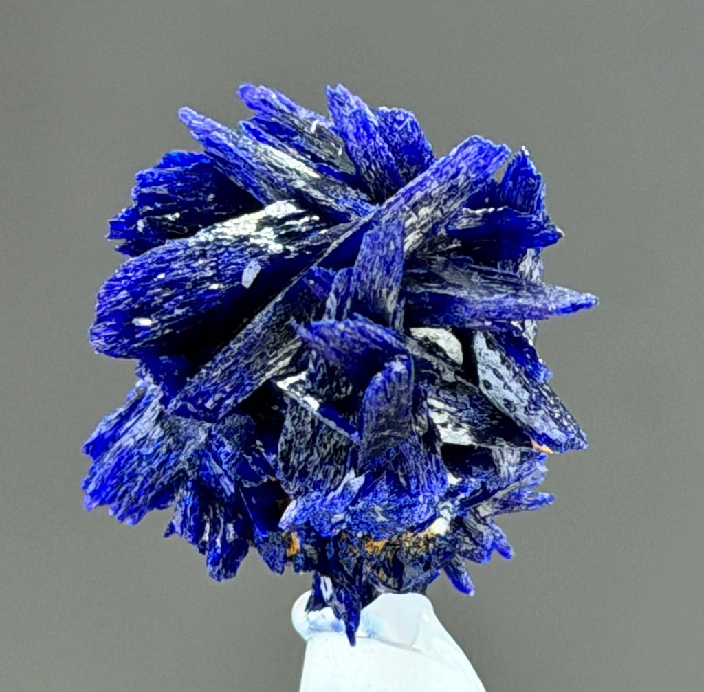 Azurite rosette  in perfect conditions -Mineral Specimens Collectors