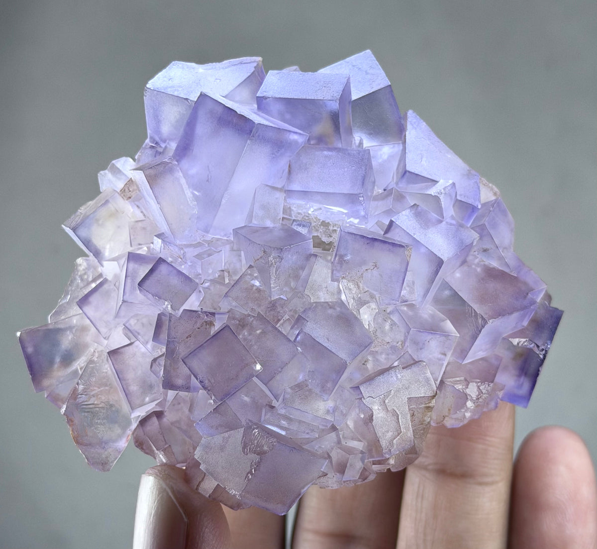 Blue Purple Fluorite in perfect Conditions - Fluorite Mineral Collectors -
