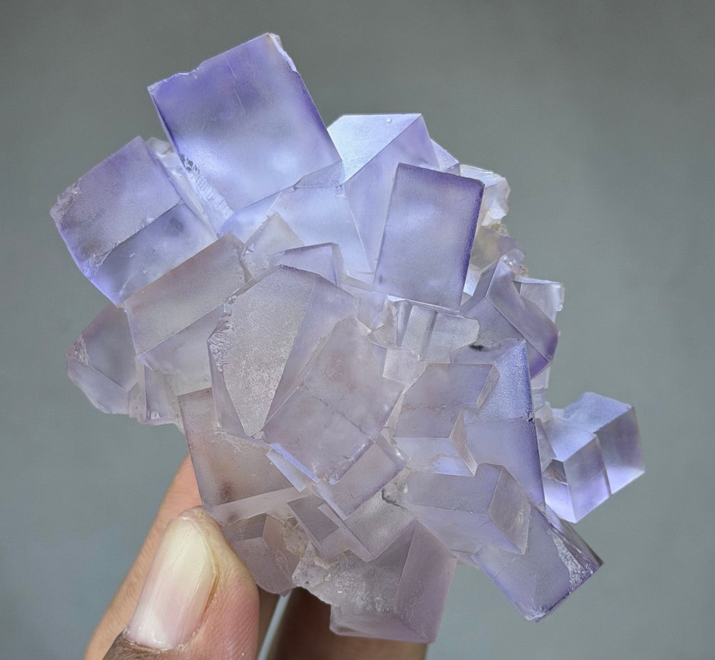 Blue Purple Fluorite in perfect Conditions - Fluorite Mineral Collectors -