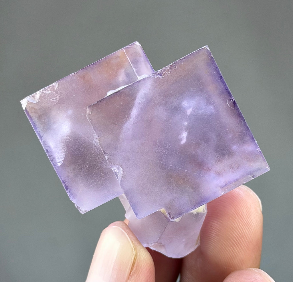 Blue Purple Fluorite in perfect Conditions - Fluorite Mineral Collectors -