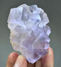 Blue Purple Fluorite in perfect Conditions - Fluorite Mineral Collectors -