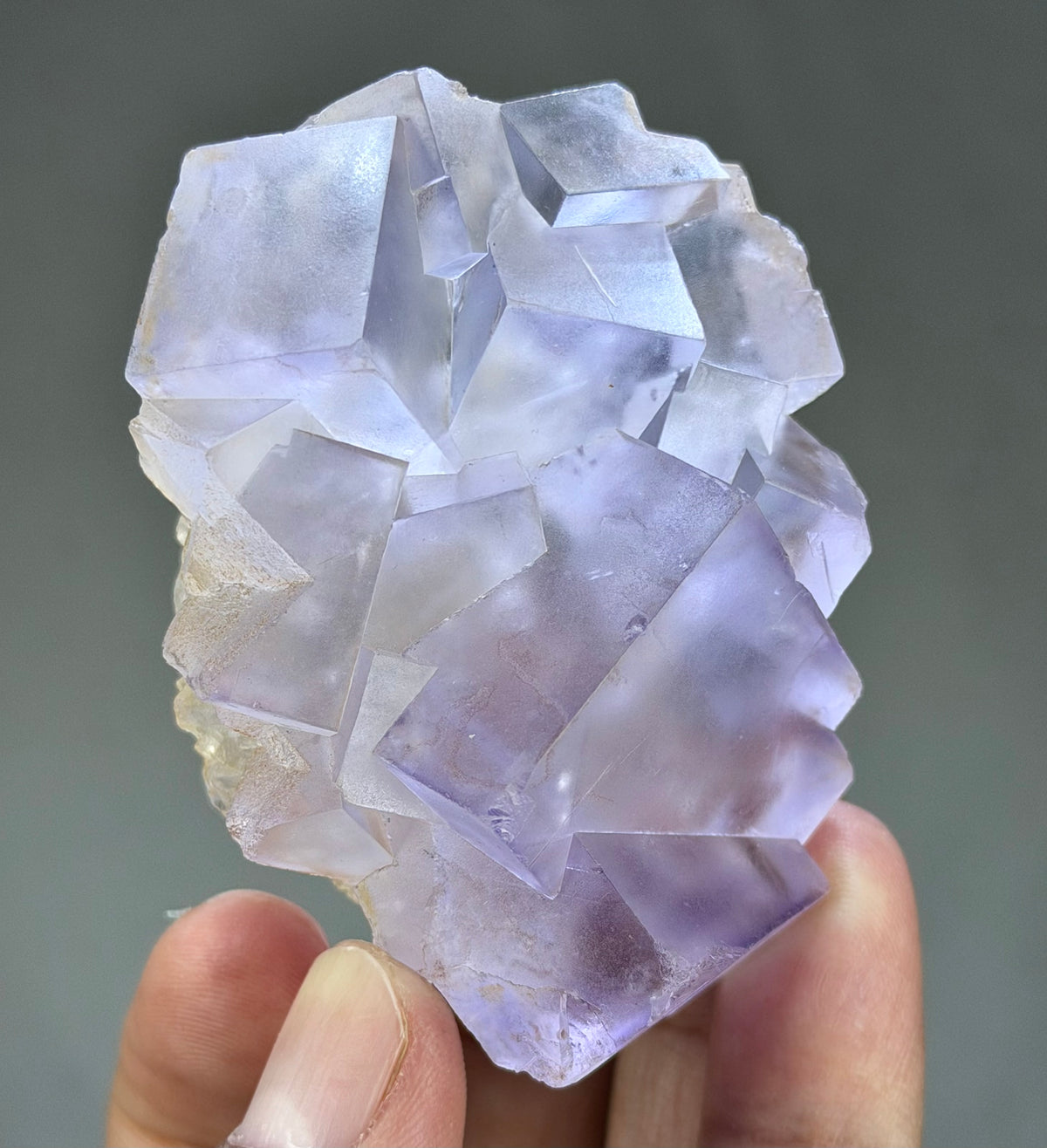 Blue Purple Fluorite in perfect Conditions - Fluorite Mineral Collectors -