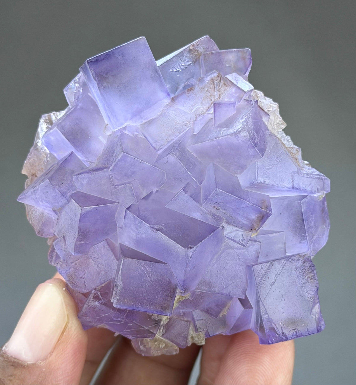 Blue Purple Fluorite in perfect Conditions - Fluorite Mineral Collectors -