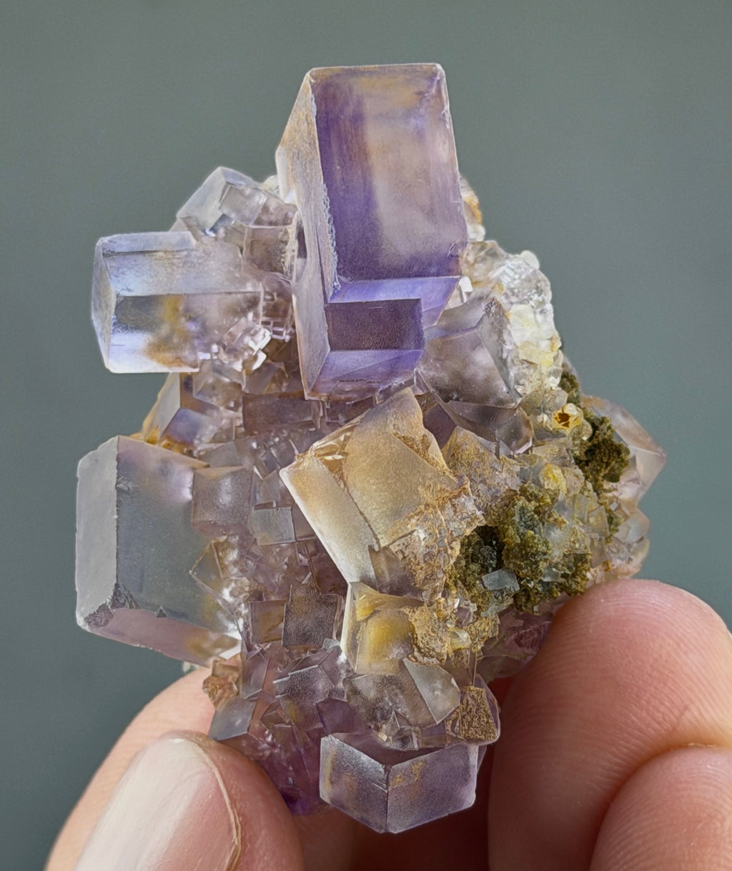 Blue Purple Fluorite in perfect Conditions - Fluorite Mineral Collectors -