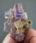 Blue Purple Fluorite in perfect Conditions - Fluorite Mineral Collectors -
