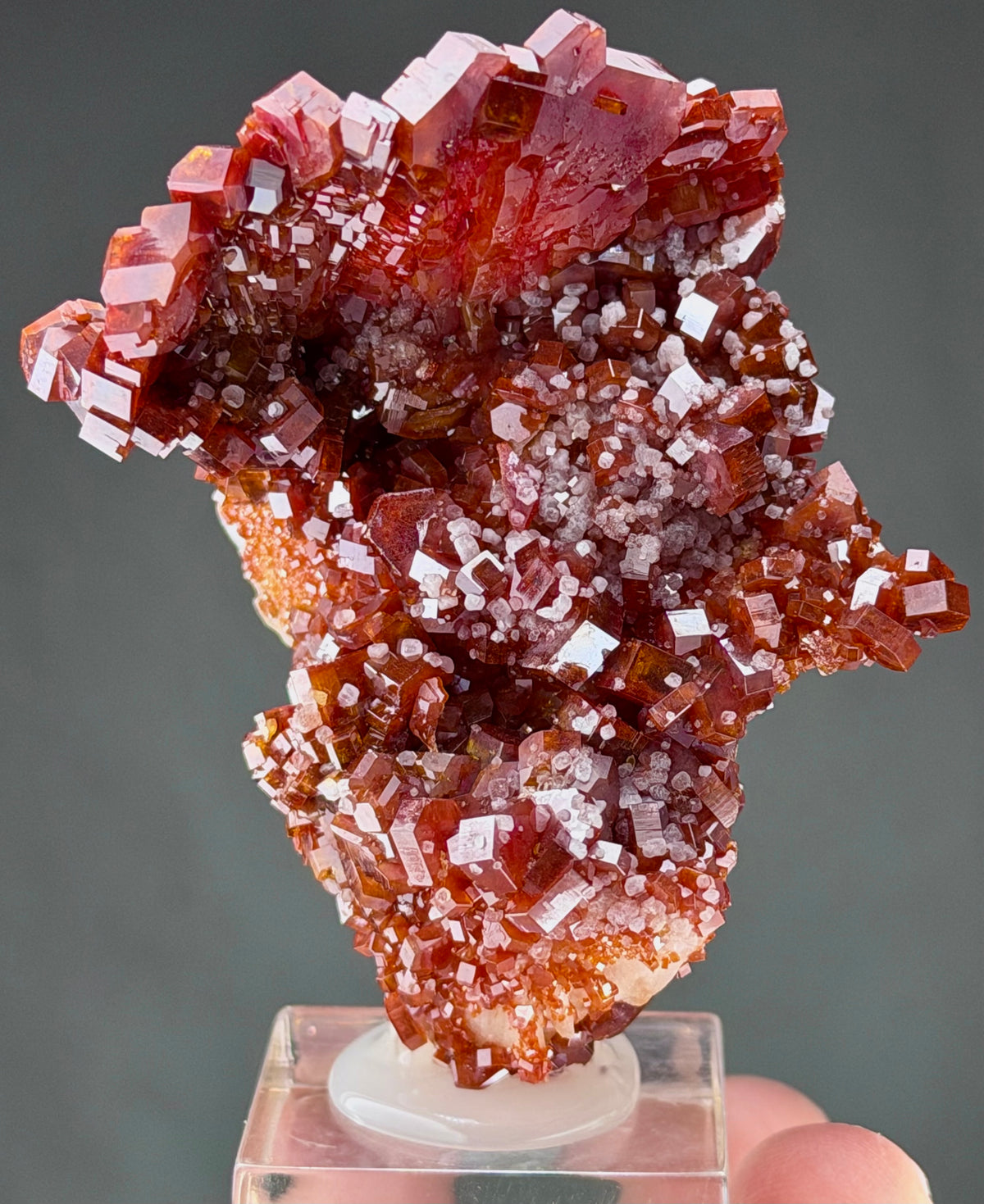 Exceptional Lustrous Scorpion-Shaped Vanadinite with Unusual Crystal Formations, Gypsum & Barite – Moroccan Collector Specimen