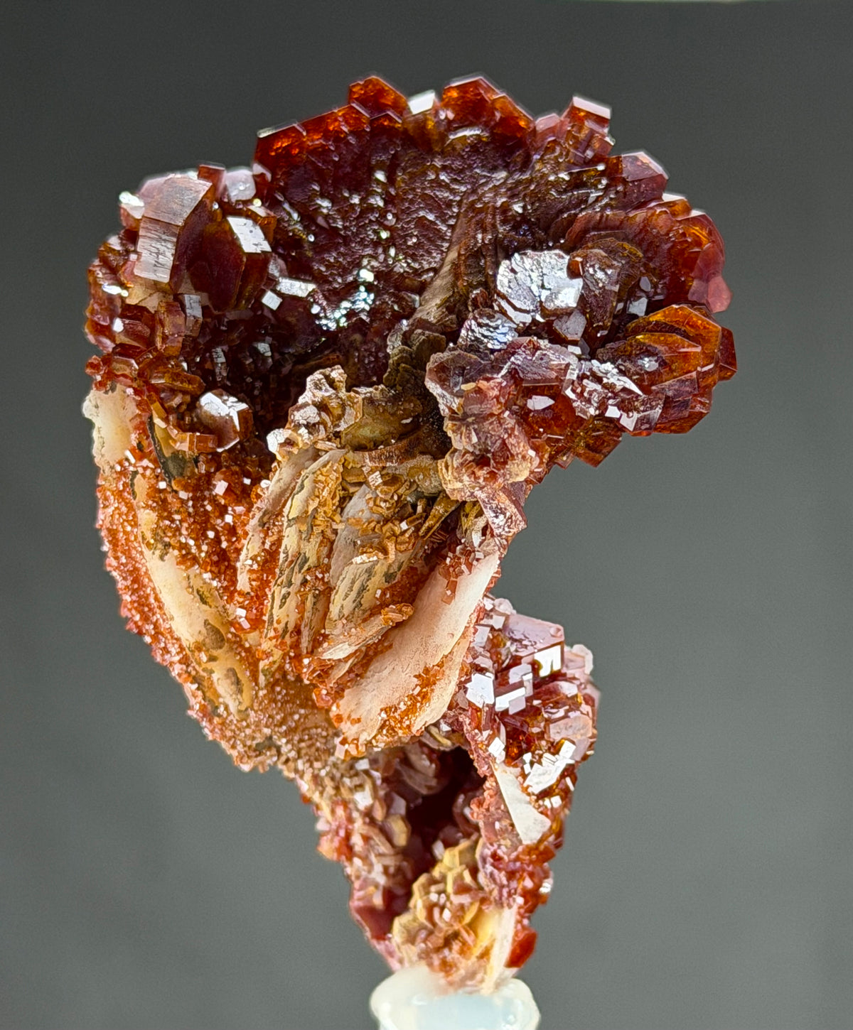 Exceptional Lustrous Scorpion-Shaped Vanadinite with Unusual Crystal Formations, Gypsum & Barite – Moroccan Collector Specimen
