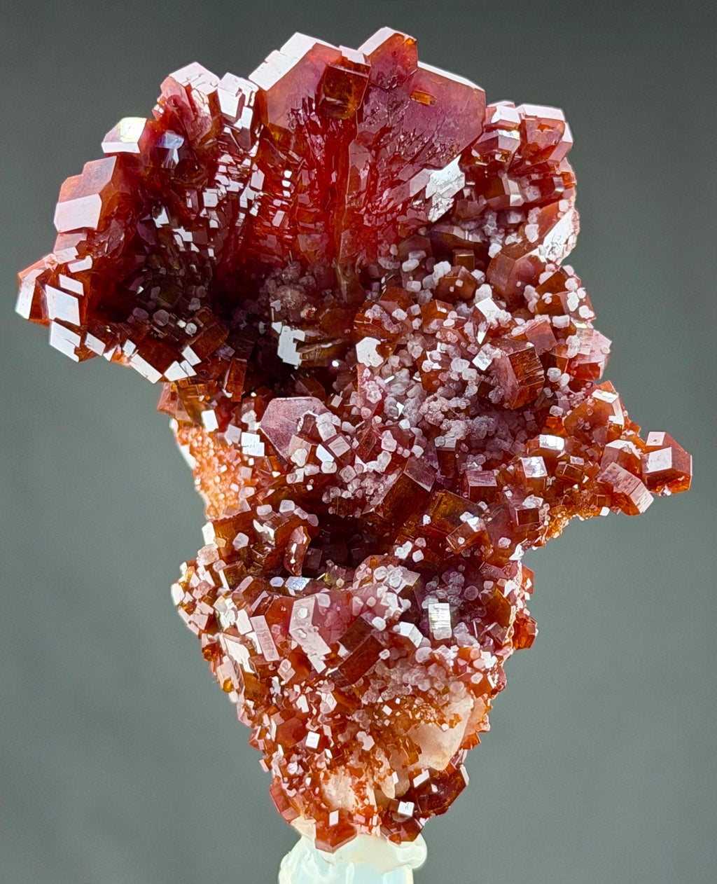 Exceptional Lustrous Scorpion-Shaped Vanadinite with Unusual Crystal Formations, Gypsum & Barite – Moroccan Collector Specimen