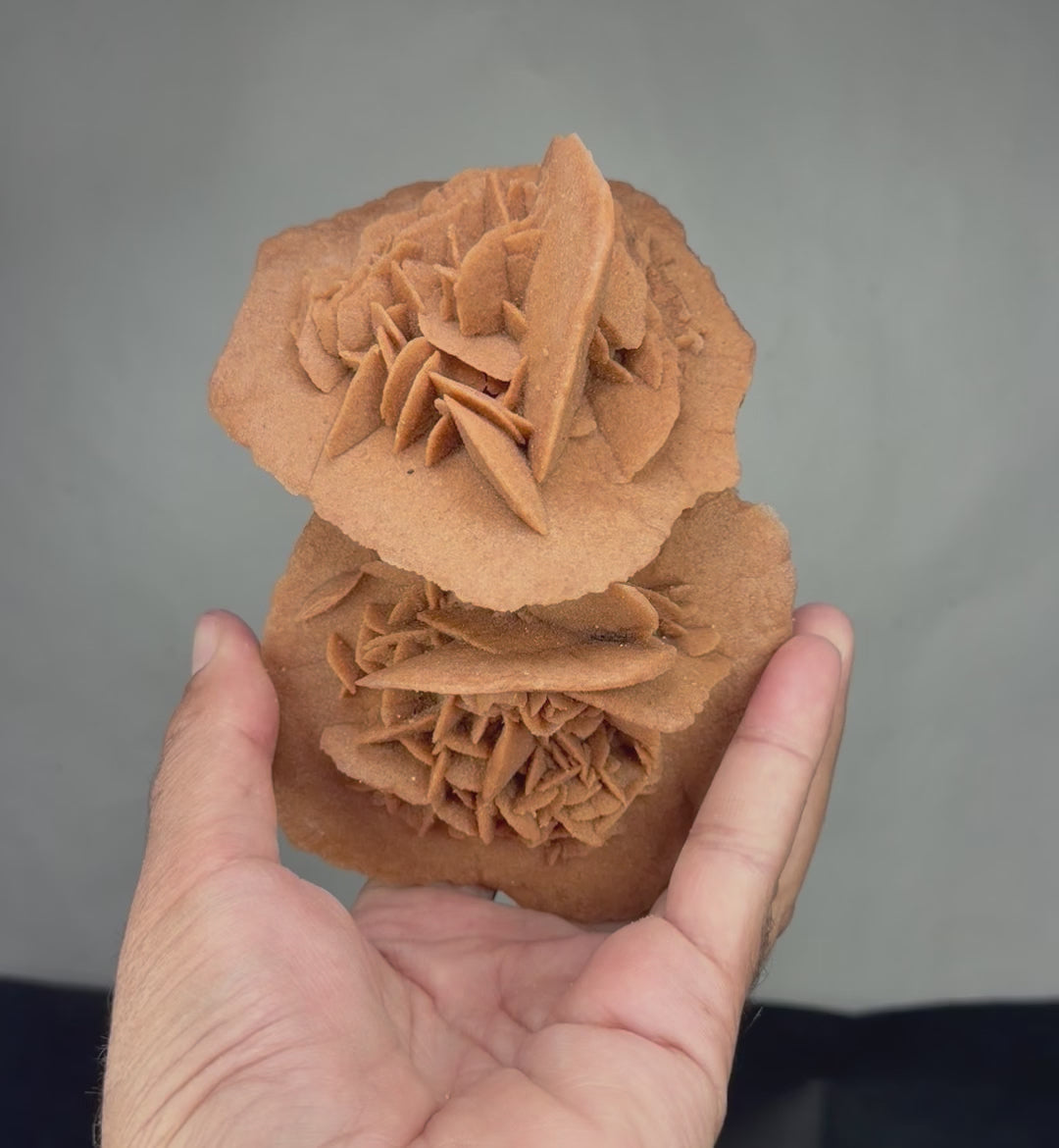 Exceptional Hand-Sized Desert Rose – Stunning Double Formation with Two Beautifully Interconnected Rosettes – Unique Mineral Specimen