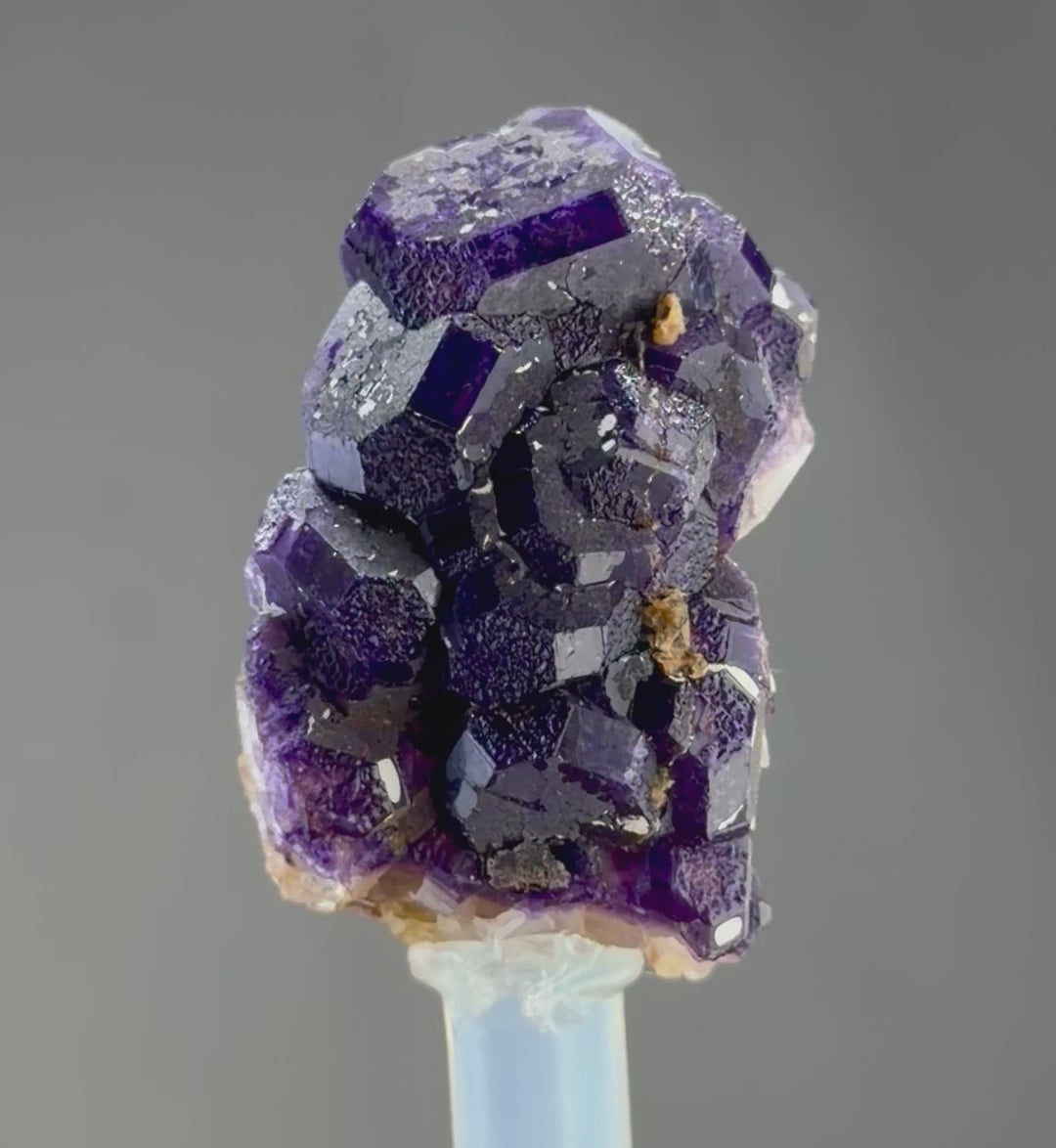 Blue Purple lustrous Fluorite - Mineral Specimens Collectors -