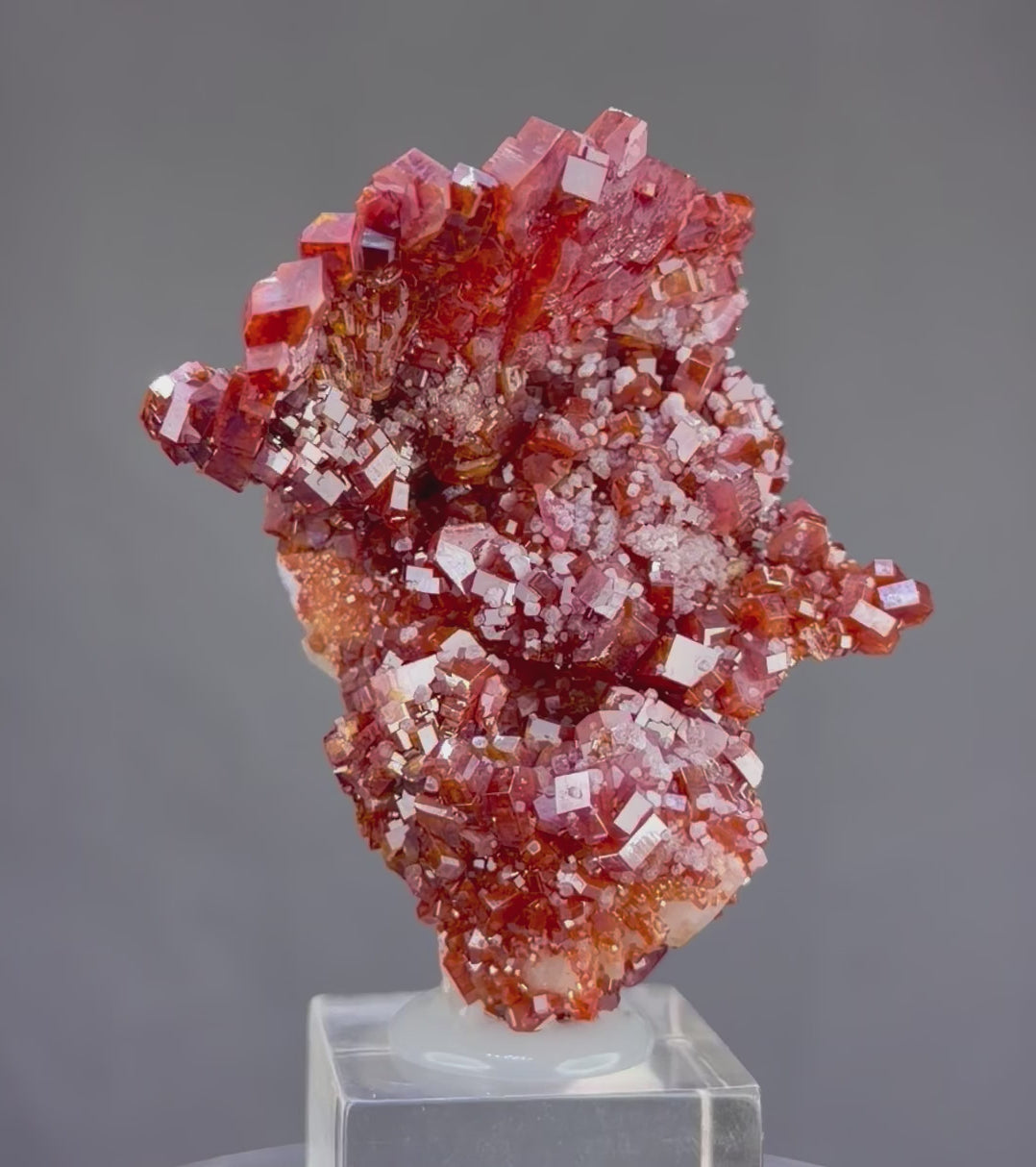 Exceptional Lustrous Scorpion-Shaped Vanadinite with Unusual Crystal Formations, Gypsum & Barite – Moroccan Collector Specimen
