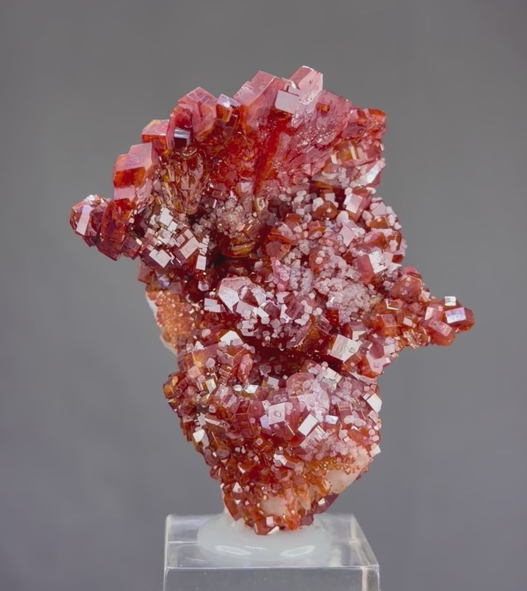 Exceptional Lustrous Scorpion-Shaped Vanadinite with Unusual Crystal Formations, Gypsum & Barite – Moroccan Collector Specimen