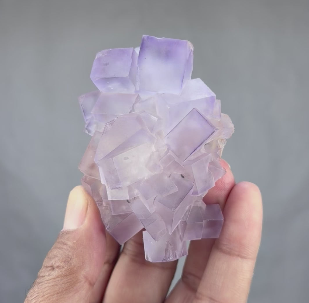Blue Purple Fluorite in perfect Conditions - Fluorite Mineral Collectors -