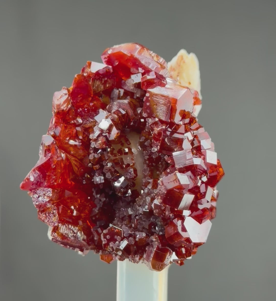 Lustrous Red Vanadinite with Gypsum & Barite – Rare Feather-Like Crystal Growth Surrounding a Miniature Geode