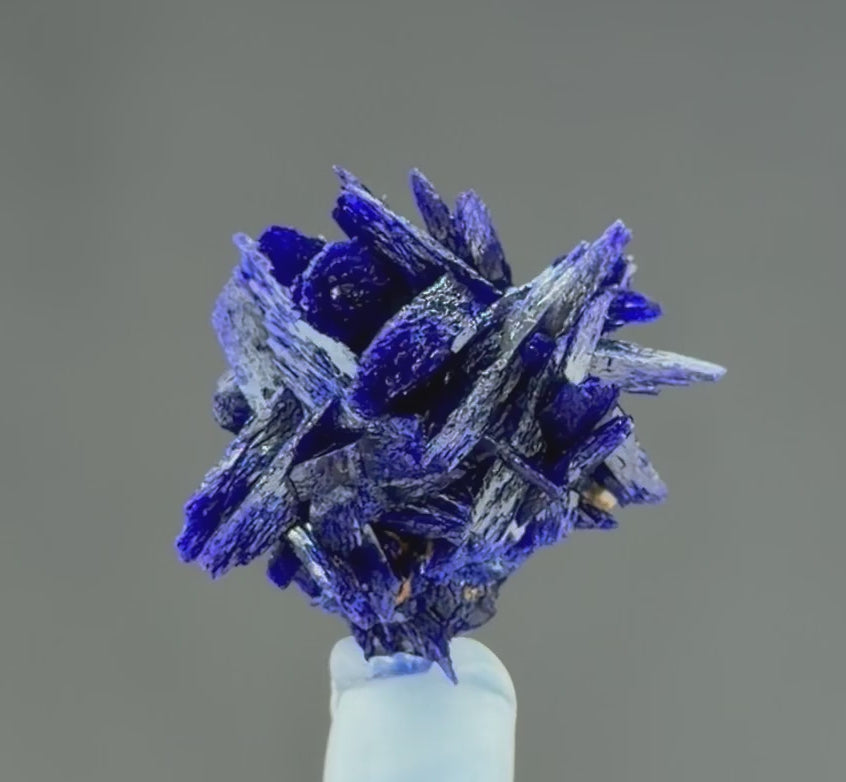 Azurite rosette  in perfect conditions -Mineral Specimens Collectors