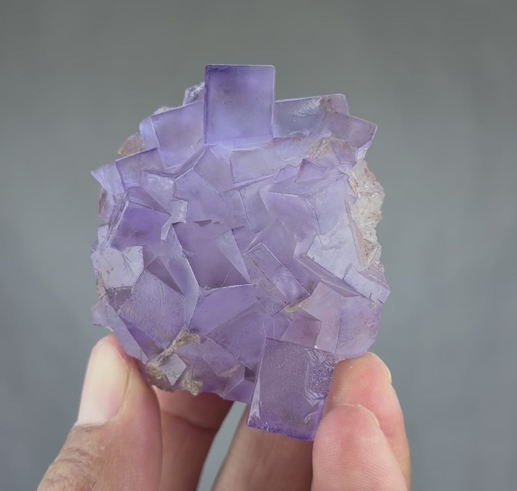 Blue Purple Fluorite in perfect Conditions - Fluorite Mineral Collectors -