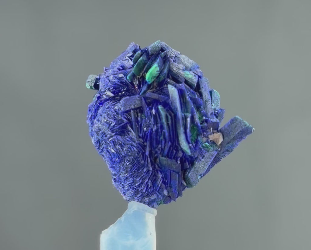 Azurite With malachite lustrous Rosette in Perfect Conditions conditions