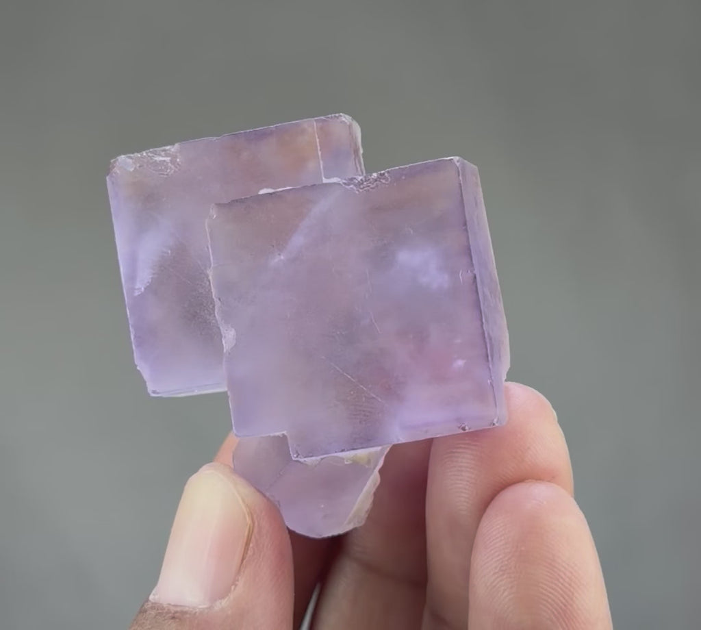 Blue Purple Fluorite in perfect Conditions - Fluorite Mineral Collectors -